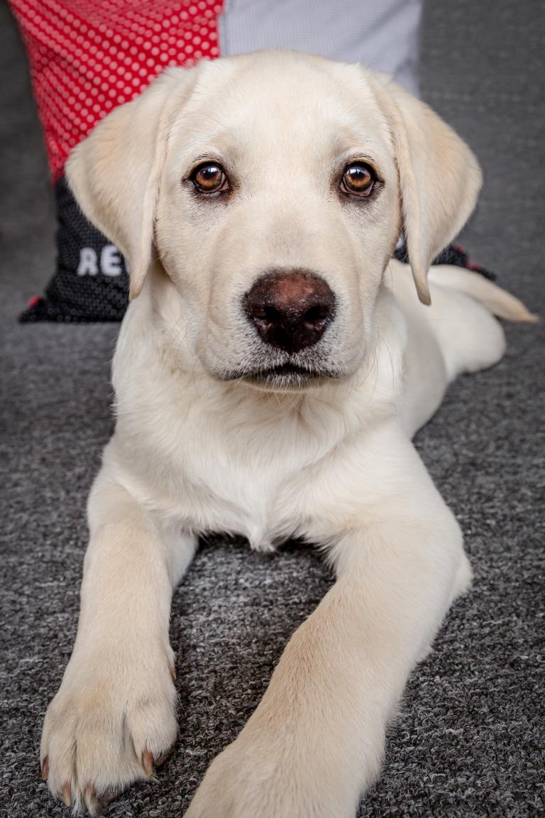 Murphy